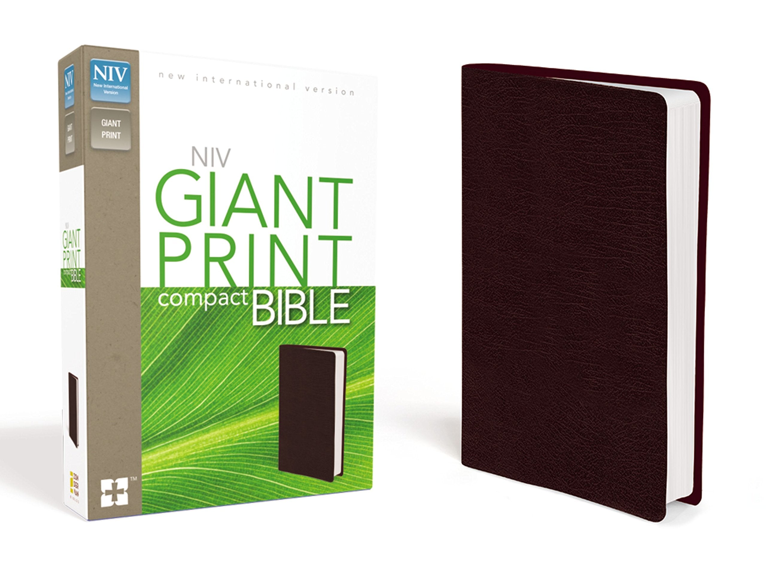 Niv Giant Print Compact Bible,New
