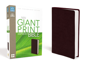 Niv Giant Print Compact Bible,New