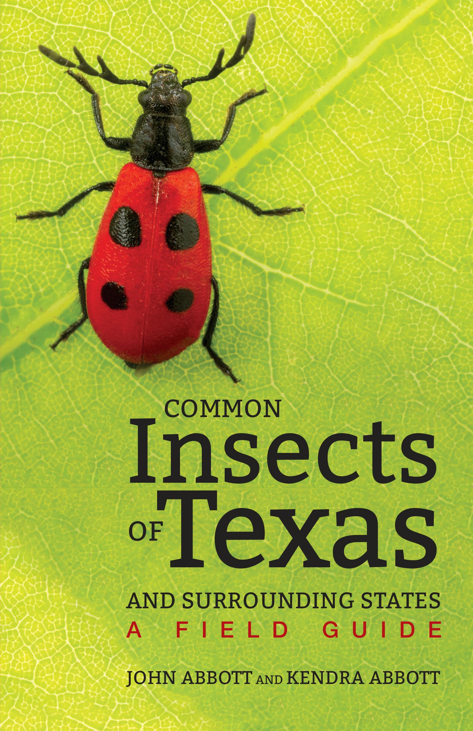 Common Insects of Texas and Surrounding States: A Field Guide (Corrie Herring Hooks Series, 71),Used