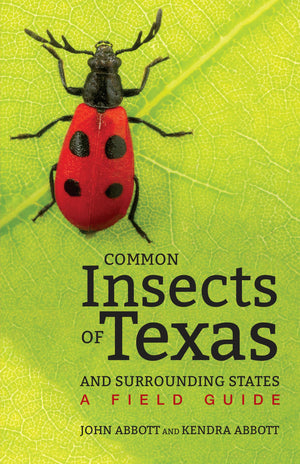 Common Insects of Texas and Surrounding States: A Field Guide (Corrie Herring Hooks Series, 71),Used