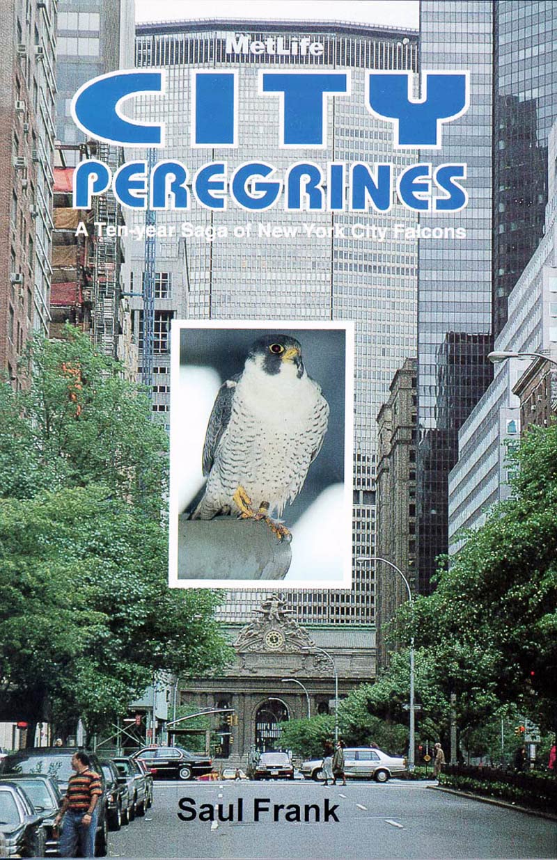 City Peregrines: A TenYear Saga of New York Falcons,Used