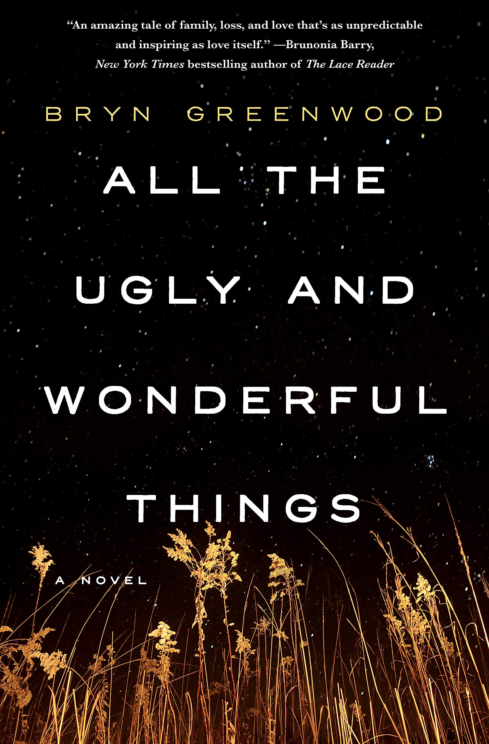 All The Ugly And Wonderful Things: A Novel