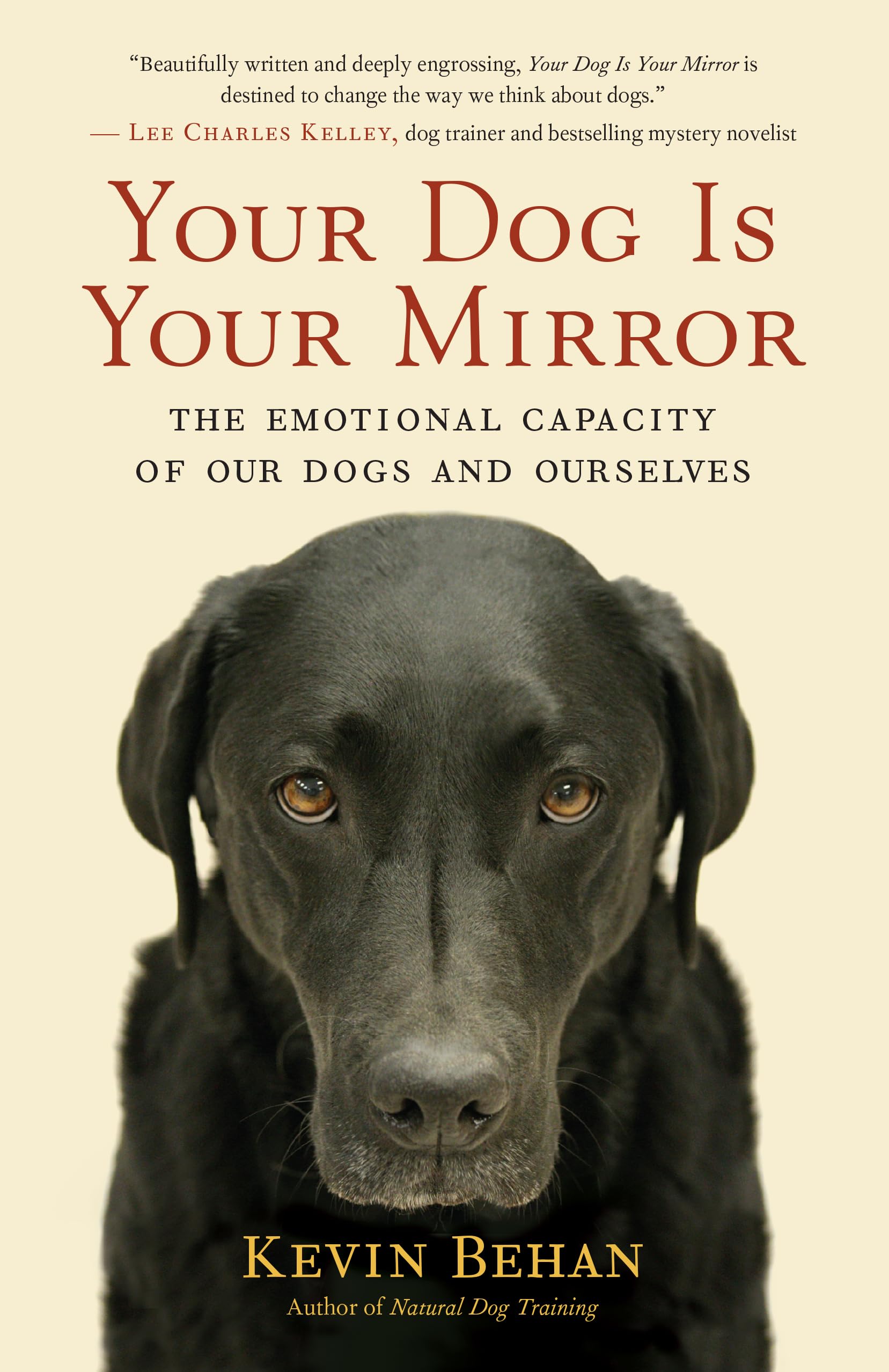 Your Dog Is Your Mirror: The Emotional Capacity Of Our Dogs And Ourselves