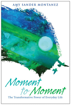 Moment to Moment: The Transformative Power of Everyday Life,Used