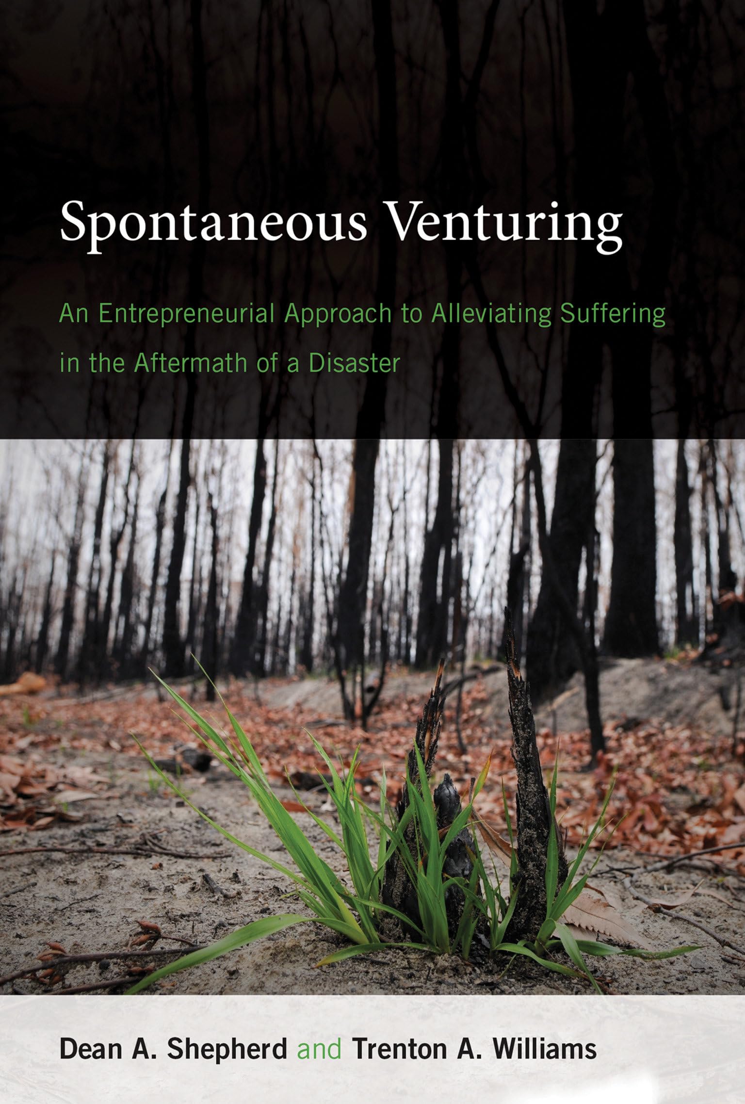 Spontaneous Venturing: An Entrepreneurial Approach to Alleviating Suffering in the Aftermath of a Disaster,Used