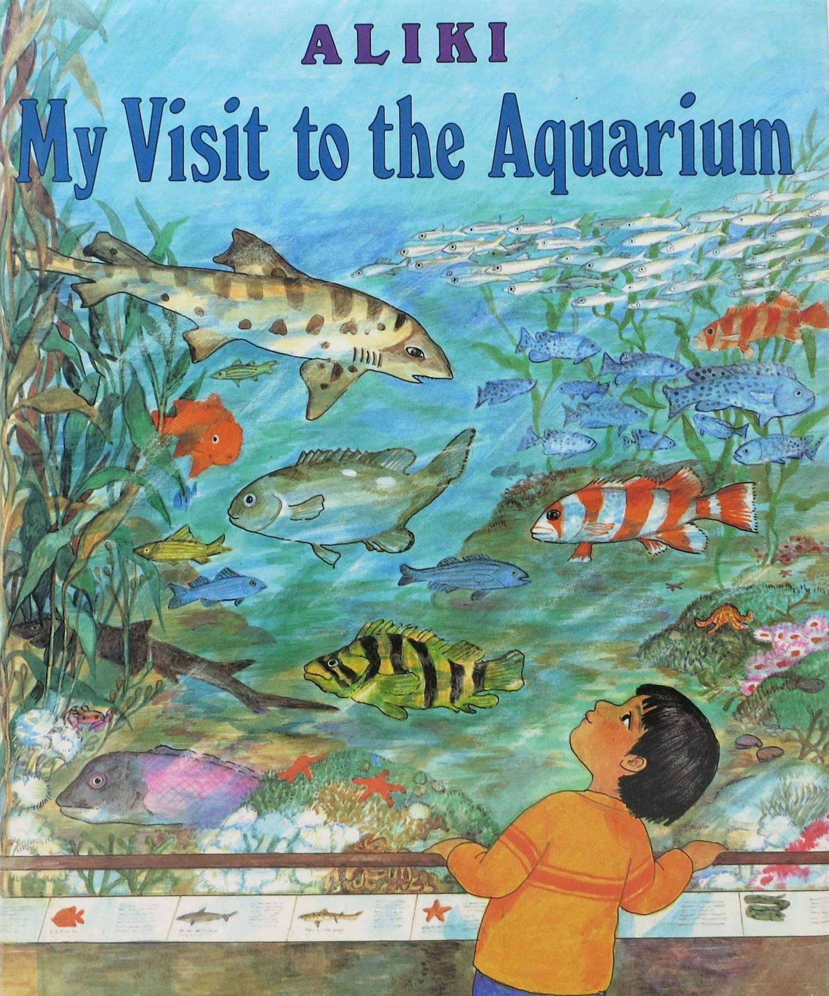 My Visit to the Aquarium,Used