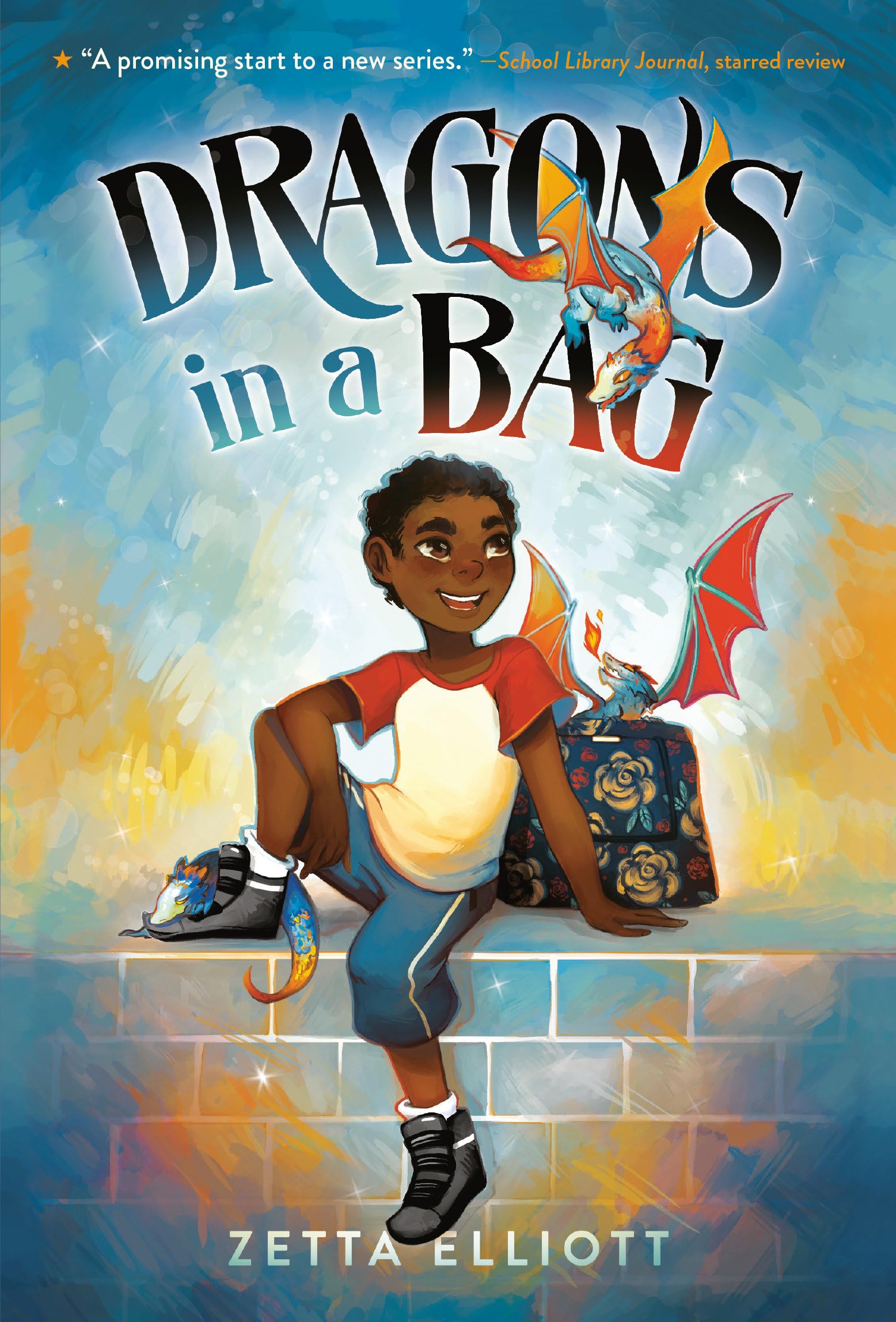 Dragons in a Bag,Used