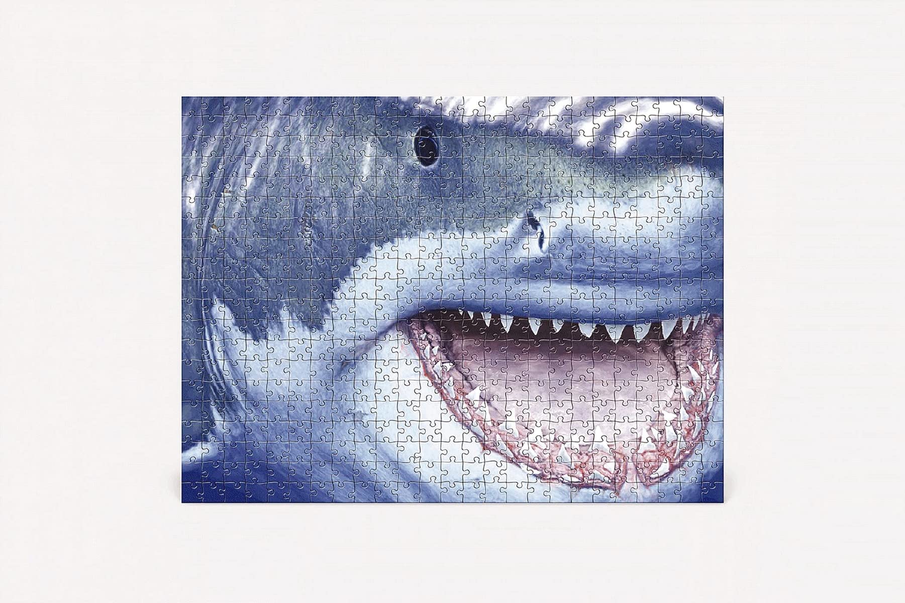 The Great White Shark 500Piece Jigsaw Puzzle & Book: A 500Piece Family Jigsaw Puzzle Featuring The Shark Handbook,Used