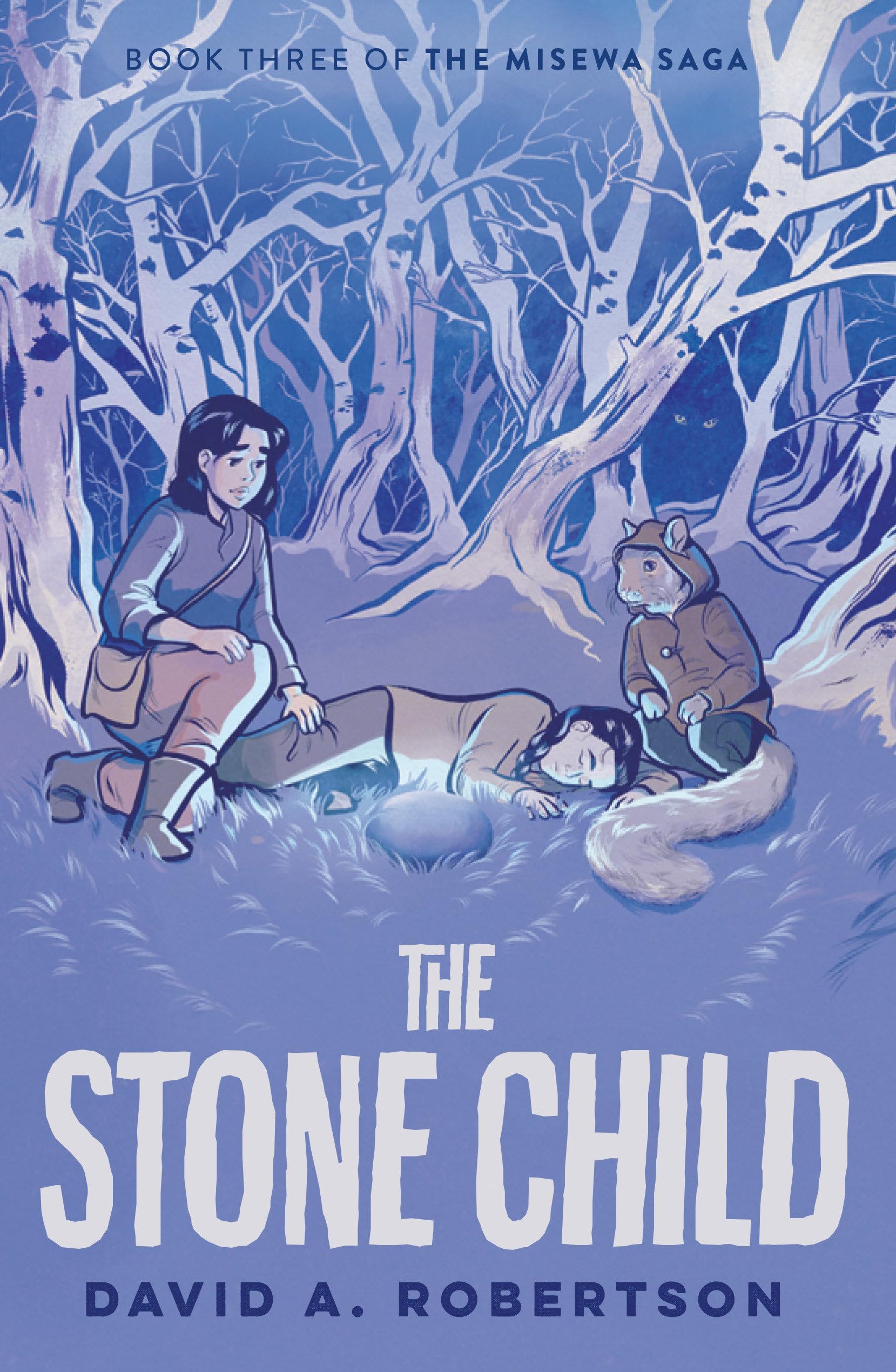 The Stone Child: The Misewa Saga, Book Three,Used