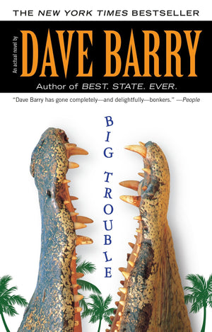 Big Trouble,Used