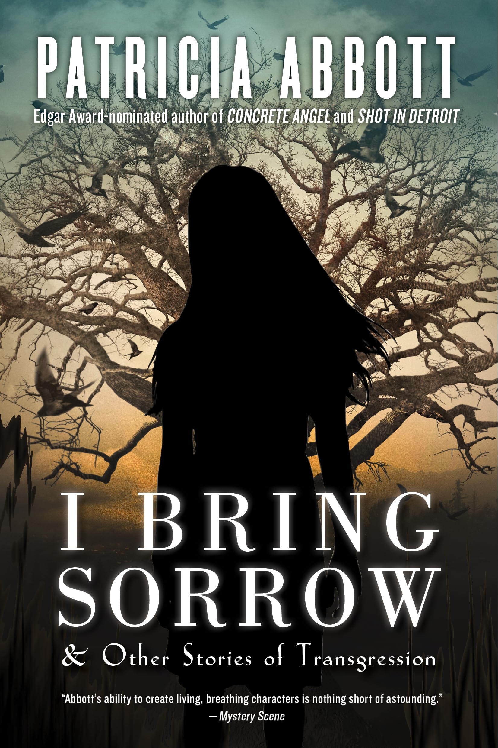 I Bring Sorrow: And Other Stories of Transgression,Used