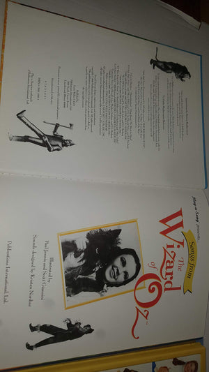 Wizard of Oz: Play a Song,Used