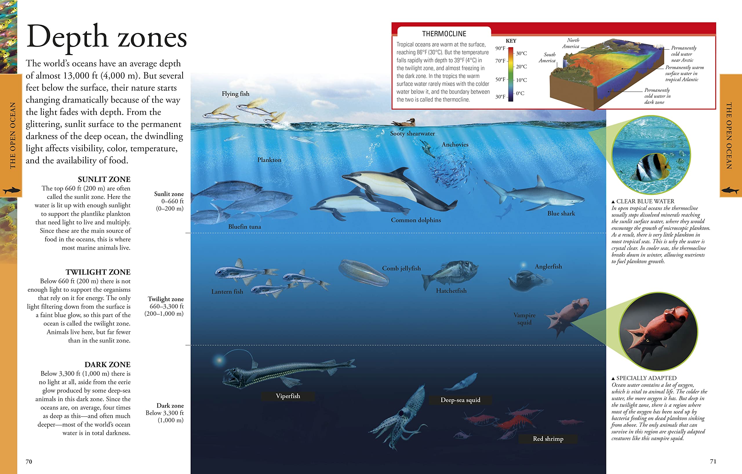 Ocean: A Visual Encyclopedia (DK Children's Visual Encyclopedias),Used