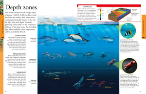 Ocean: A Visual Encyclopedia (DK Children's Visual Encyclopedias),Used