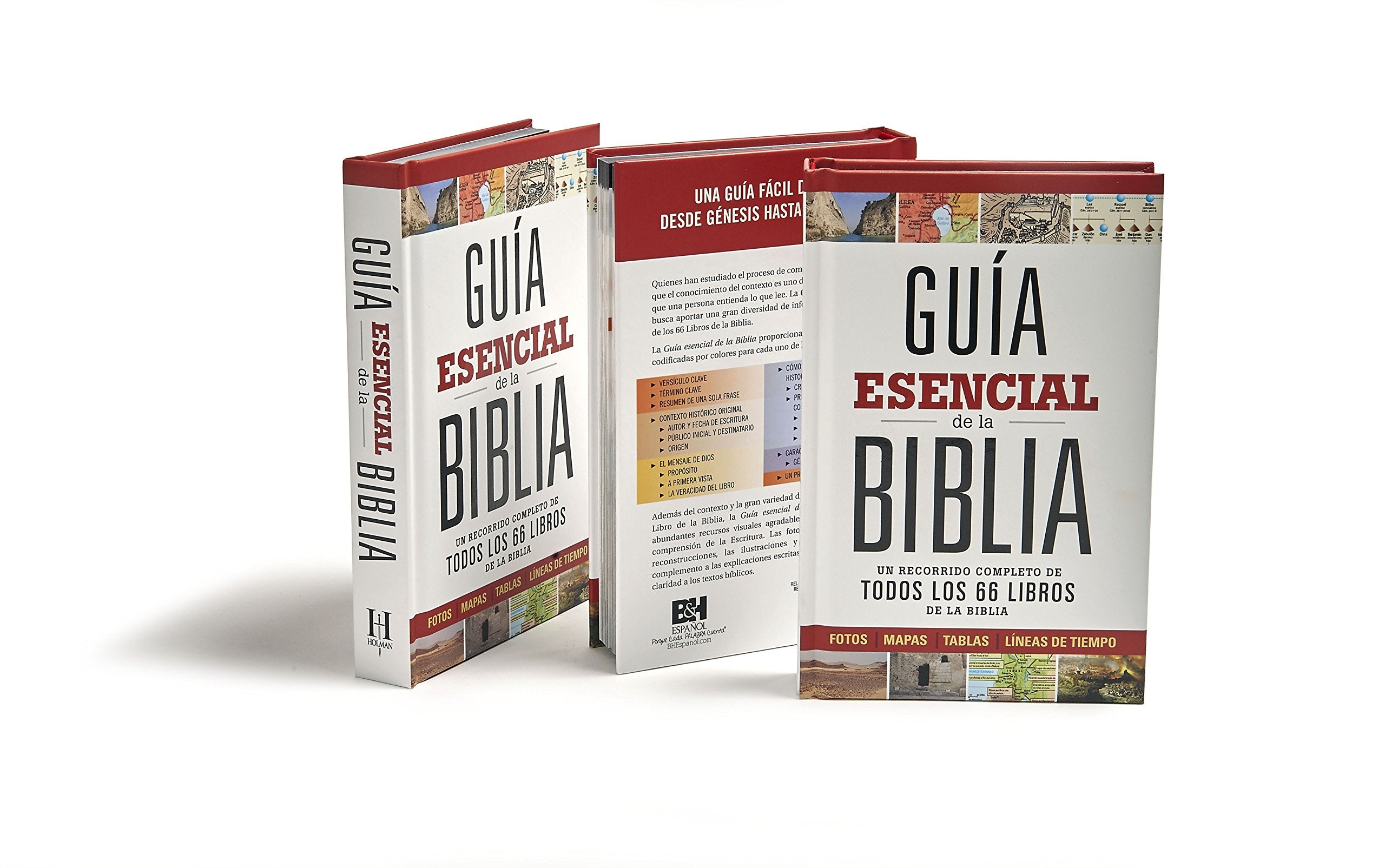 Gu?a esencial de la Biblia  Ultimate Bible Guide (Spanish Edition),Used