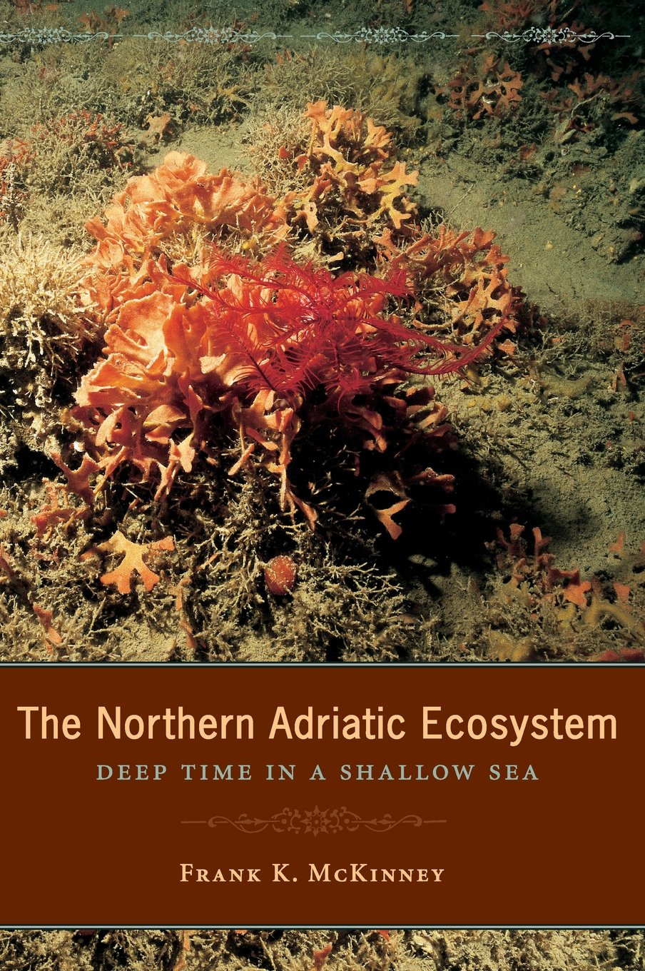 The Northern Adriatic Ecosystem: Deep Time in a Shallow Sea (The Critical Moments and Perspectives in Earth History and Paleobio,New