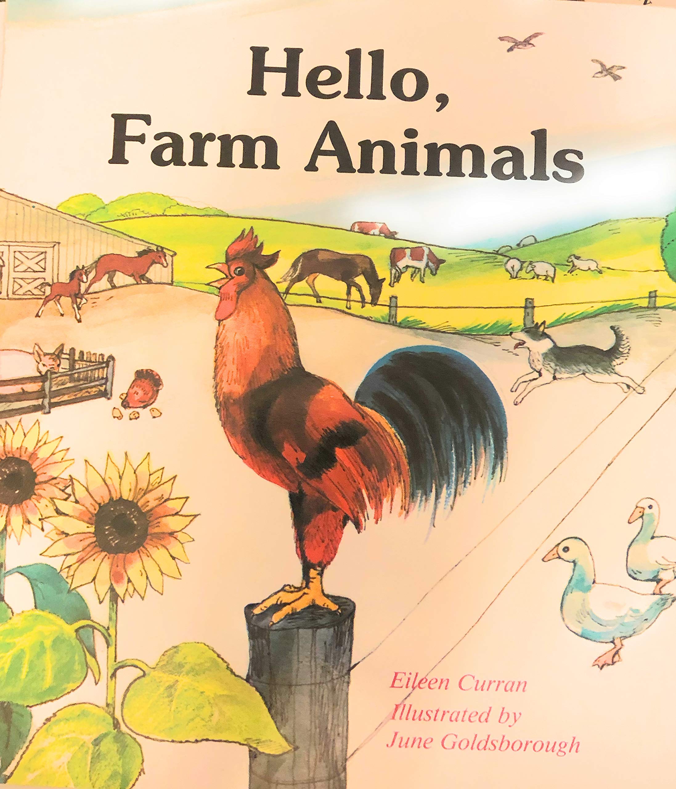 Hello, Farm Animals,Used