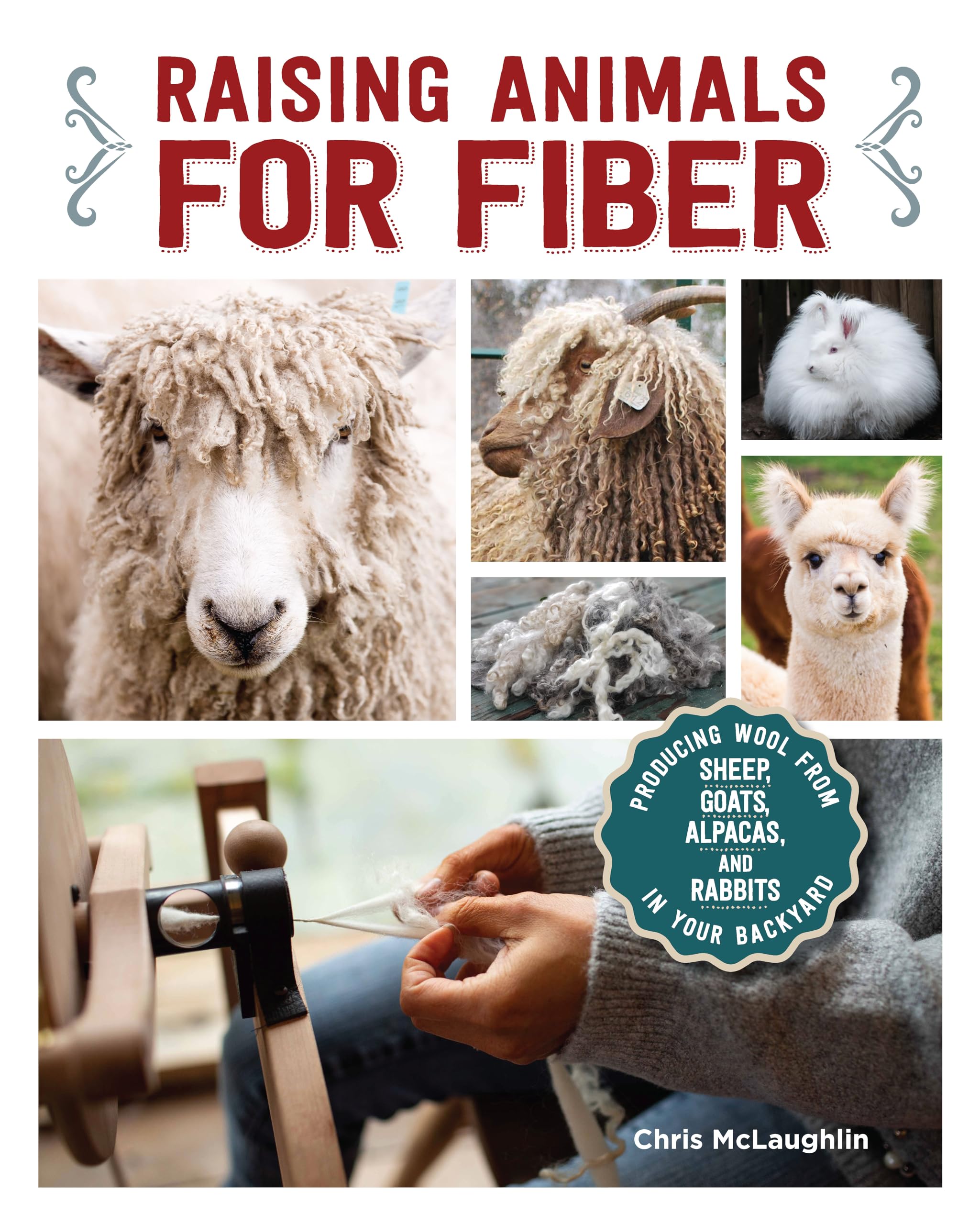 Raising Animals for Fiber: Producing Wool from Sheep, Goats, Alpacas, and Rabbits in Your Backyard (CompanionHouse Books) Livest,Used