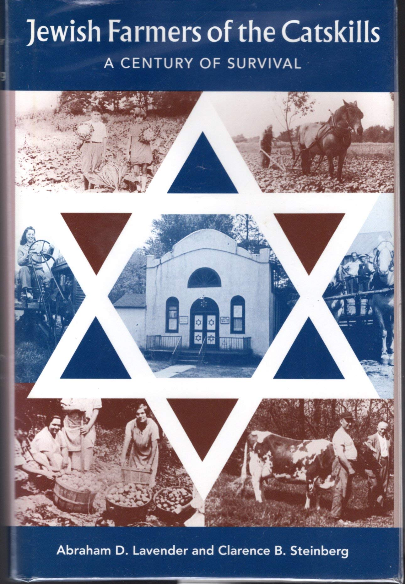 Jewish Farmers of the Catskills: A Century of Survival,Used