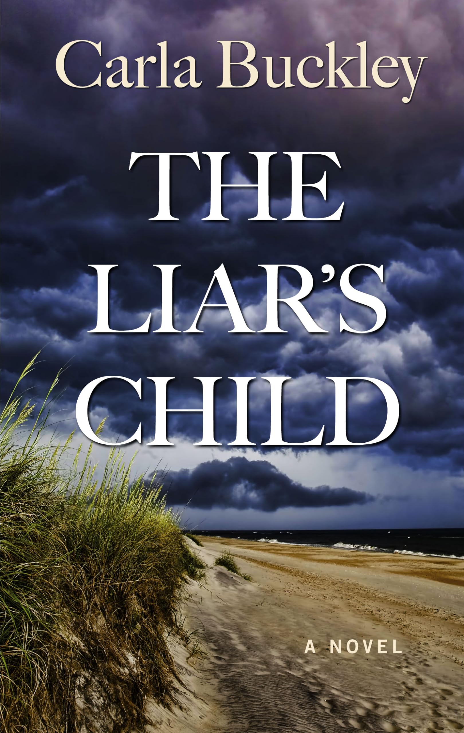 The Liar's Child (Thorndike Press Large Print Thriller),Used