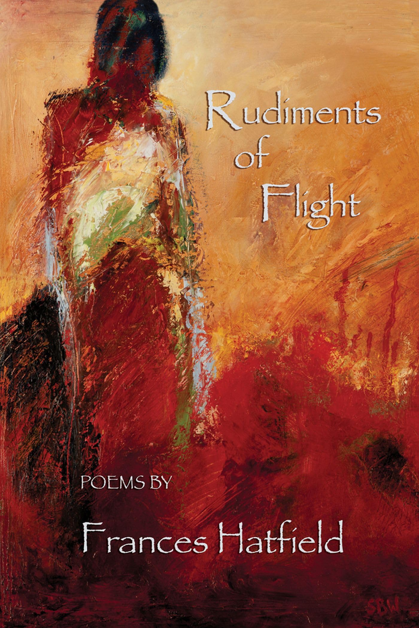 Rudiments of Flight,Used