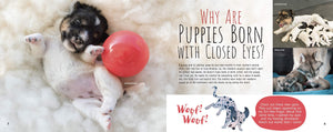 Woof! The Truth About Dogs by Annette Whipple  Fun Facts, Photographs, Illustrations, & All Your Questions Answered  For Ages 7,Used