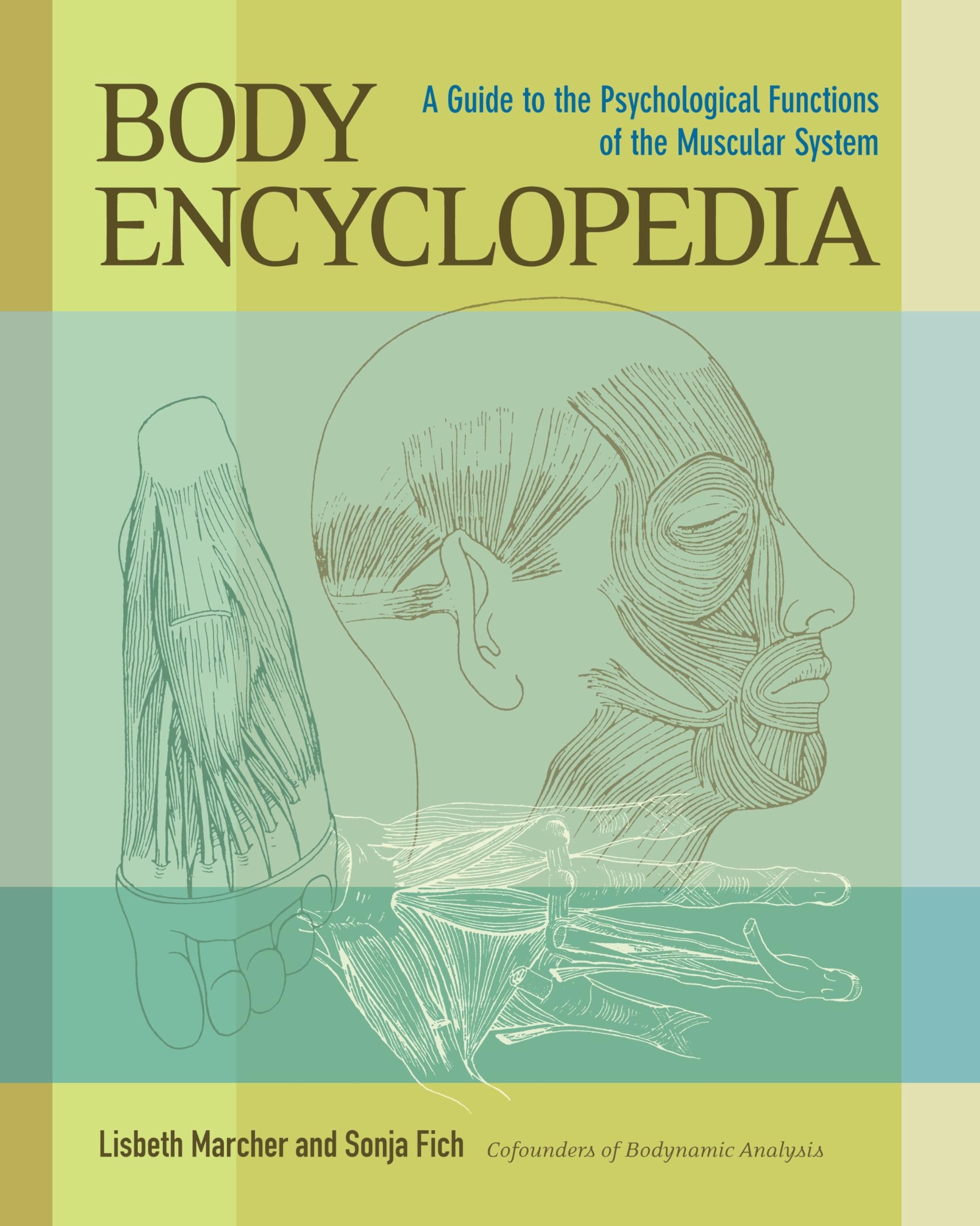 Body Encyclopedia: A Guide To The Psychological Functions Of The Muscular System