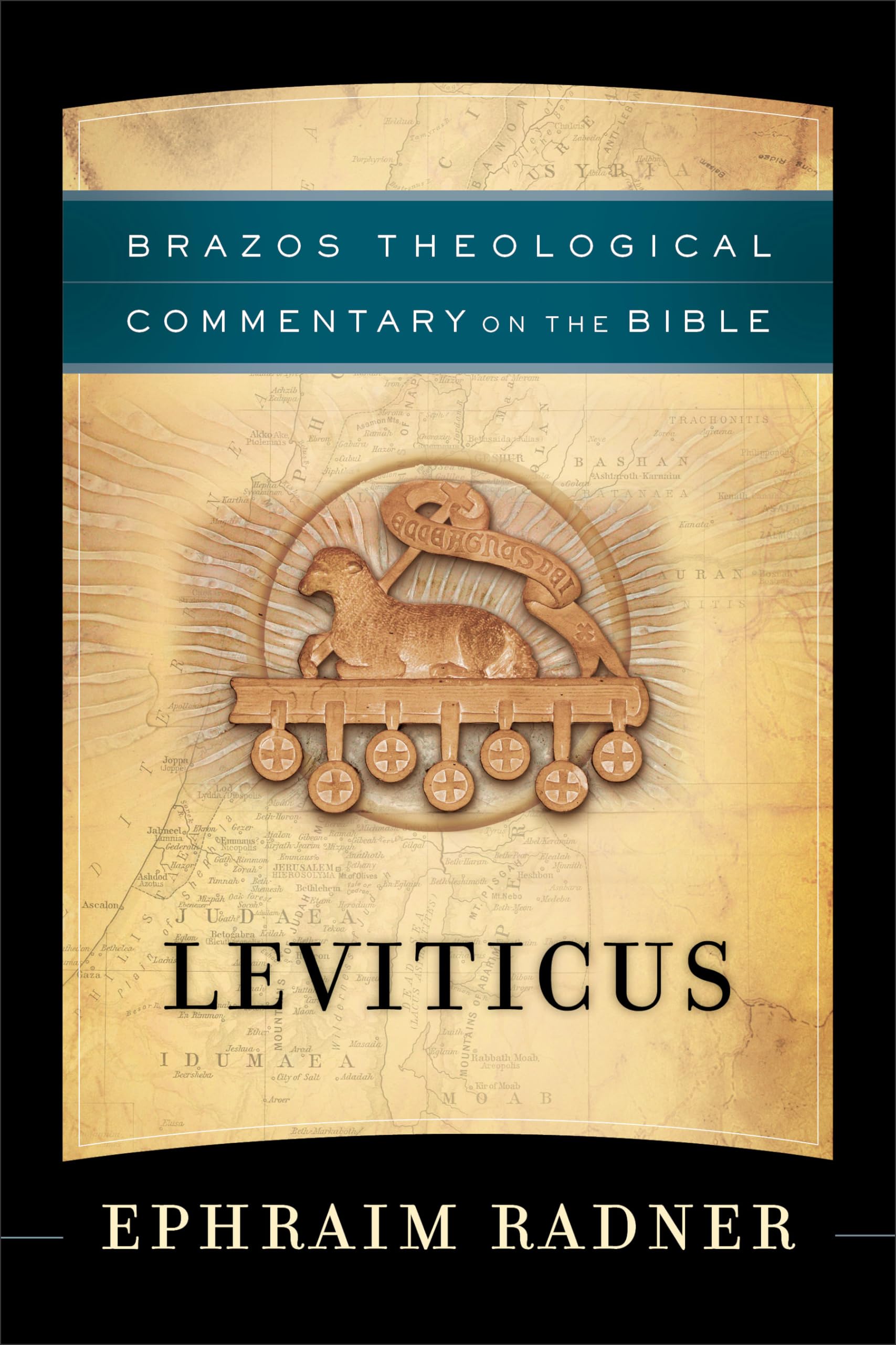 Leviticus: (A Theological Bible Commentary from Leading Contemporary Theologians  BTC) (Brazos Theological Commentary on the Bi,Used