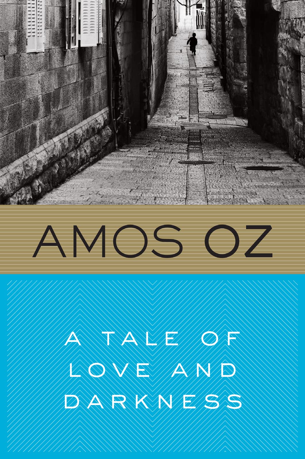 A Tale Of Love And Darkness,Used