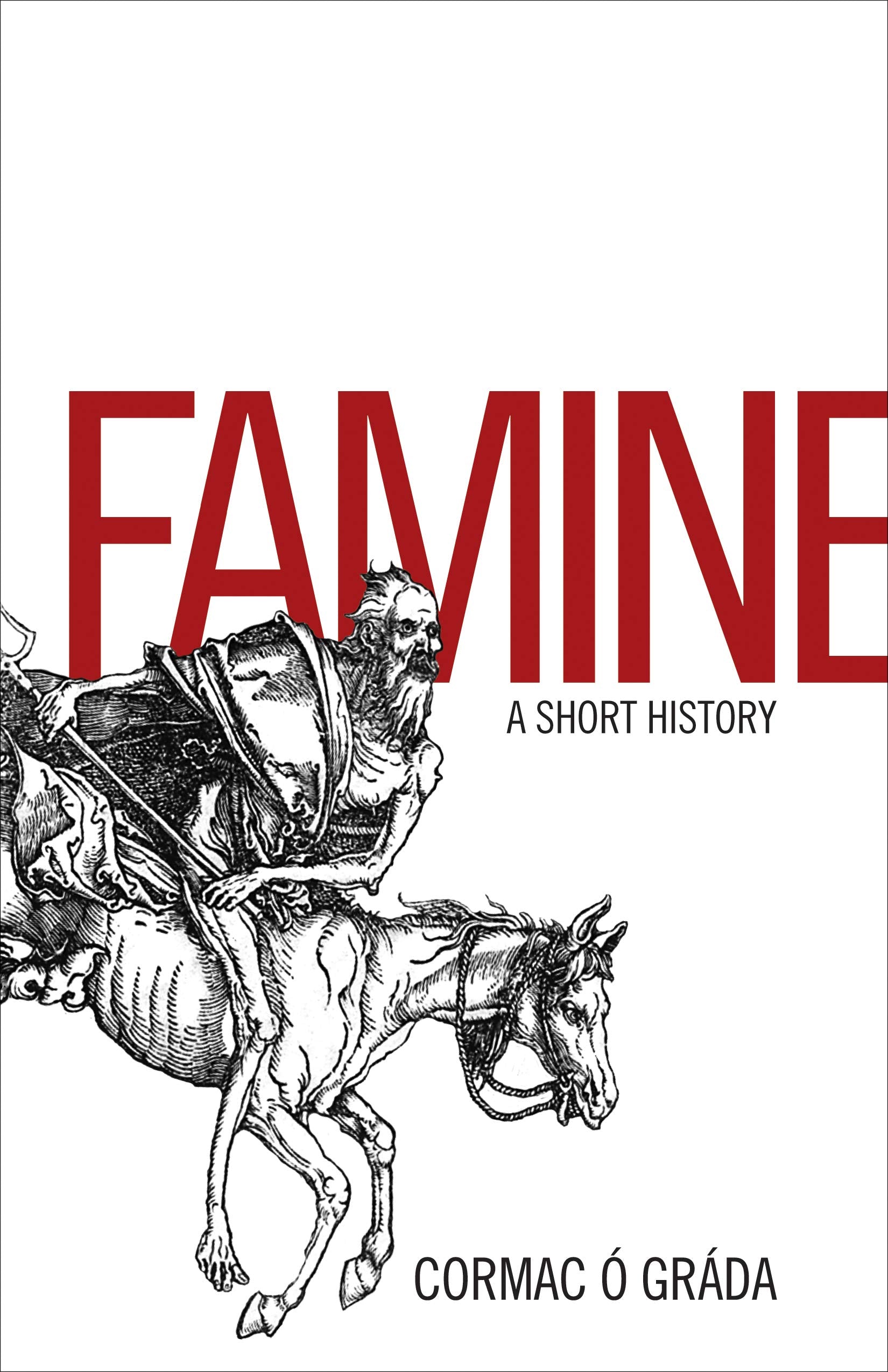 Famine: A Short History,Used