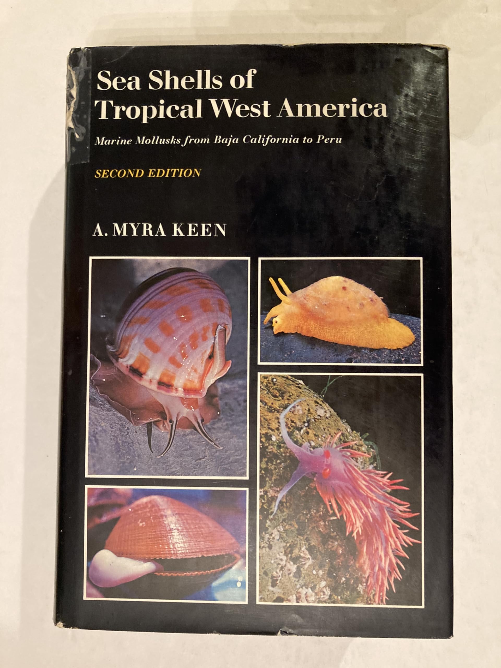 Sea Shells of Tropical West America; Marine Mollusks from Baja California to Peru,Used
