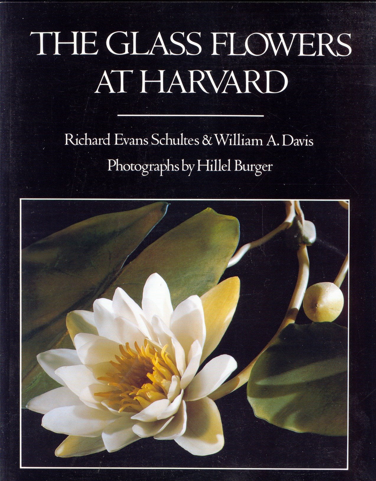 The Glass Flowers at Harvard,Used