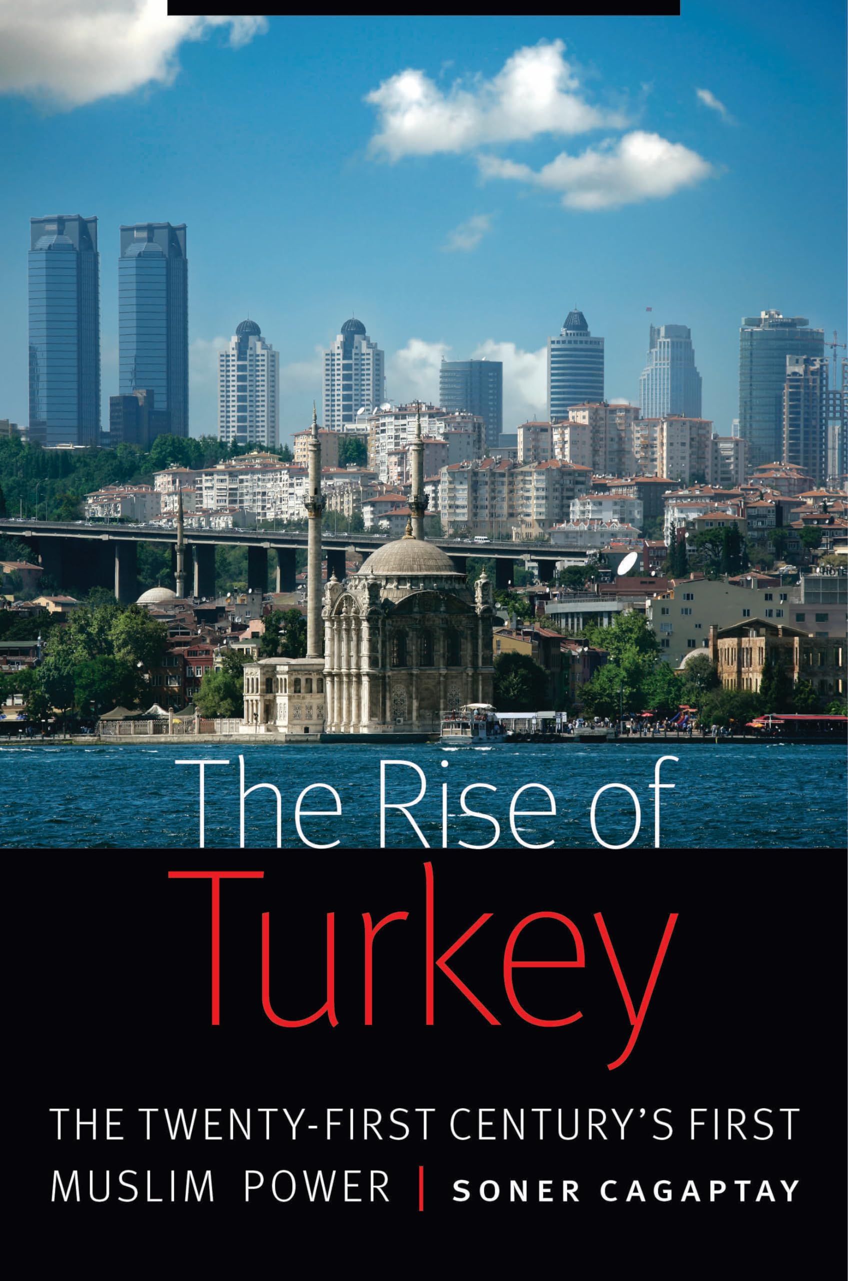 The Rise of Turkey: The TwentyFirst Century's First Muslim Power,Used