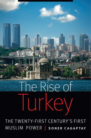 The Rise of Turkey: The TwentyFirst Century's First Muslim Power,Used