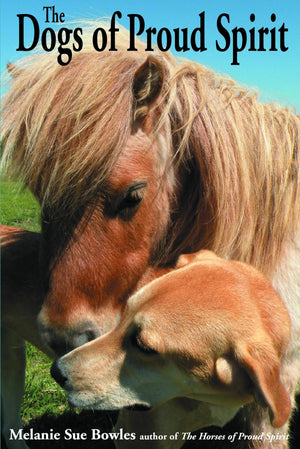 The Dogs Of Proud Spirit,Used