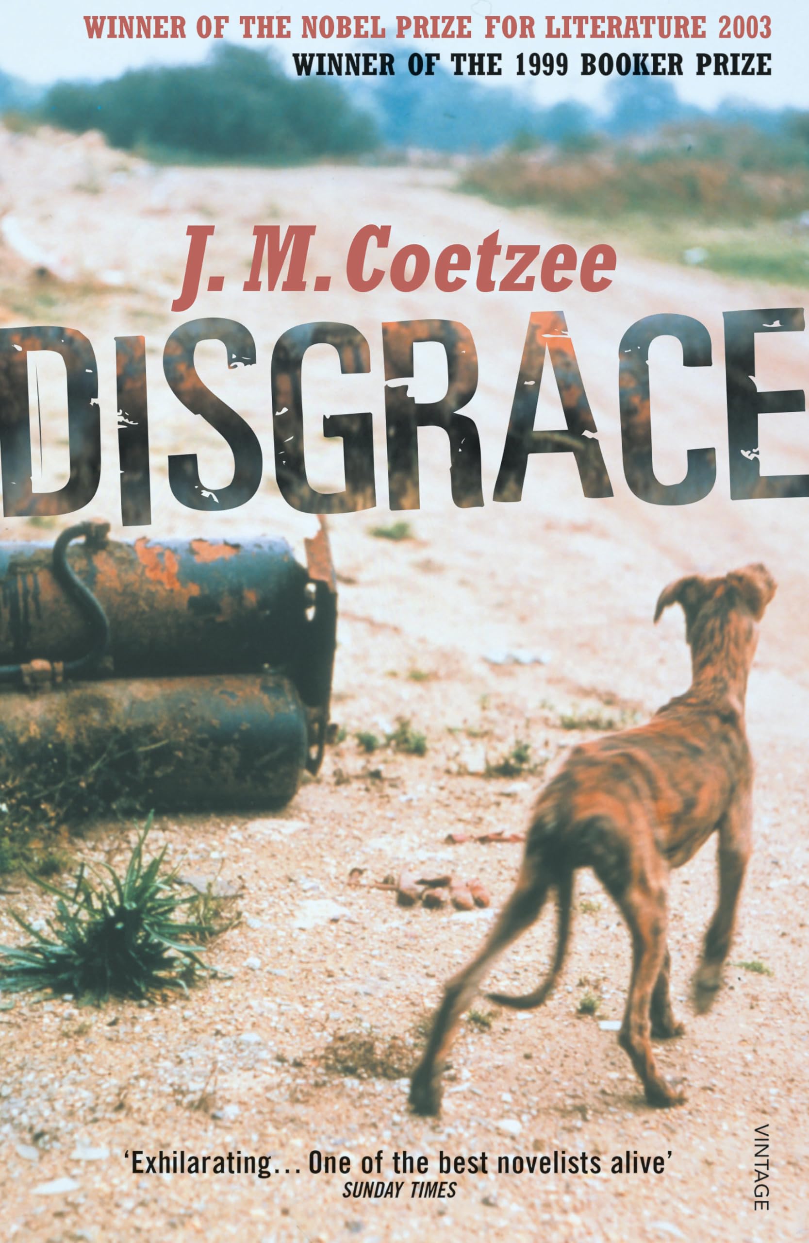Disgrace,Used