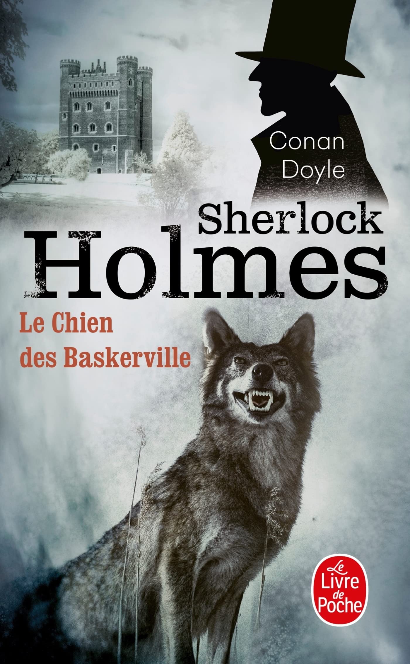Le Chien Des Baskerville,Used