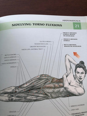Women's Strength Training Anatomy,New