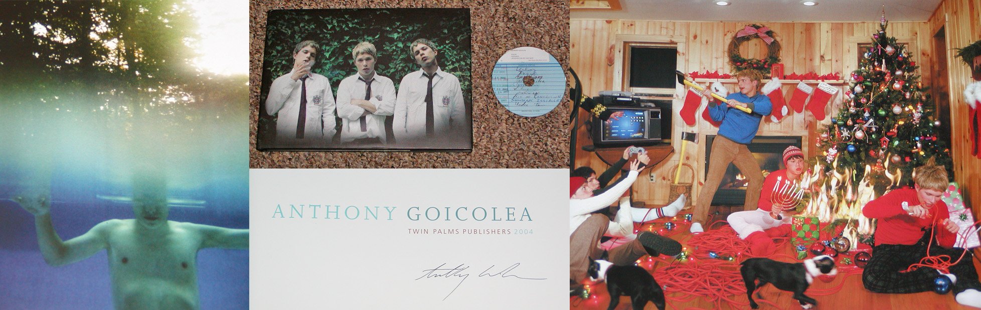 Anthony Goicolea,Used