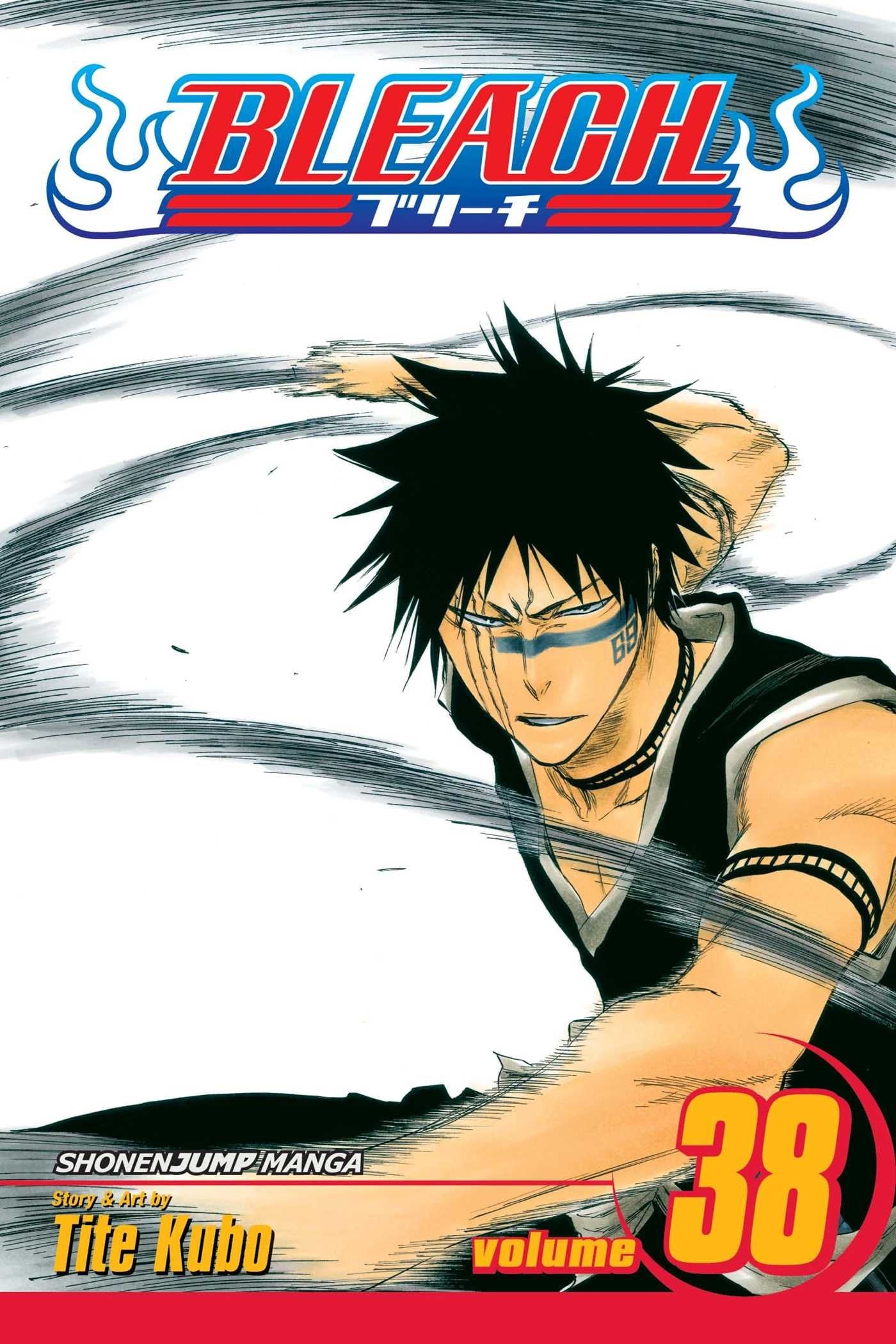Bleach, Vol. 38: Fear for Fight,Used