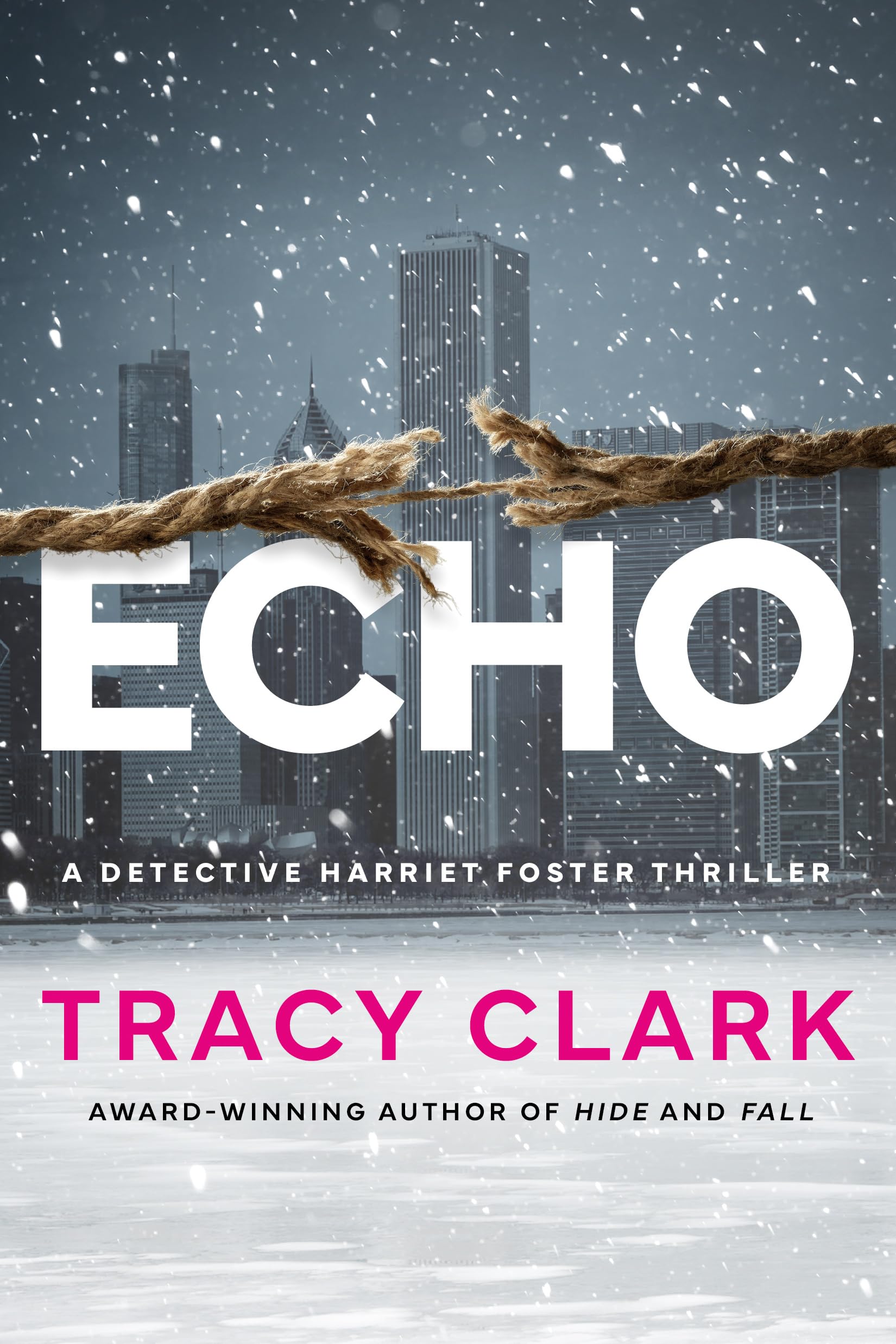 Echo (Detective Harriet Foster),New