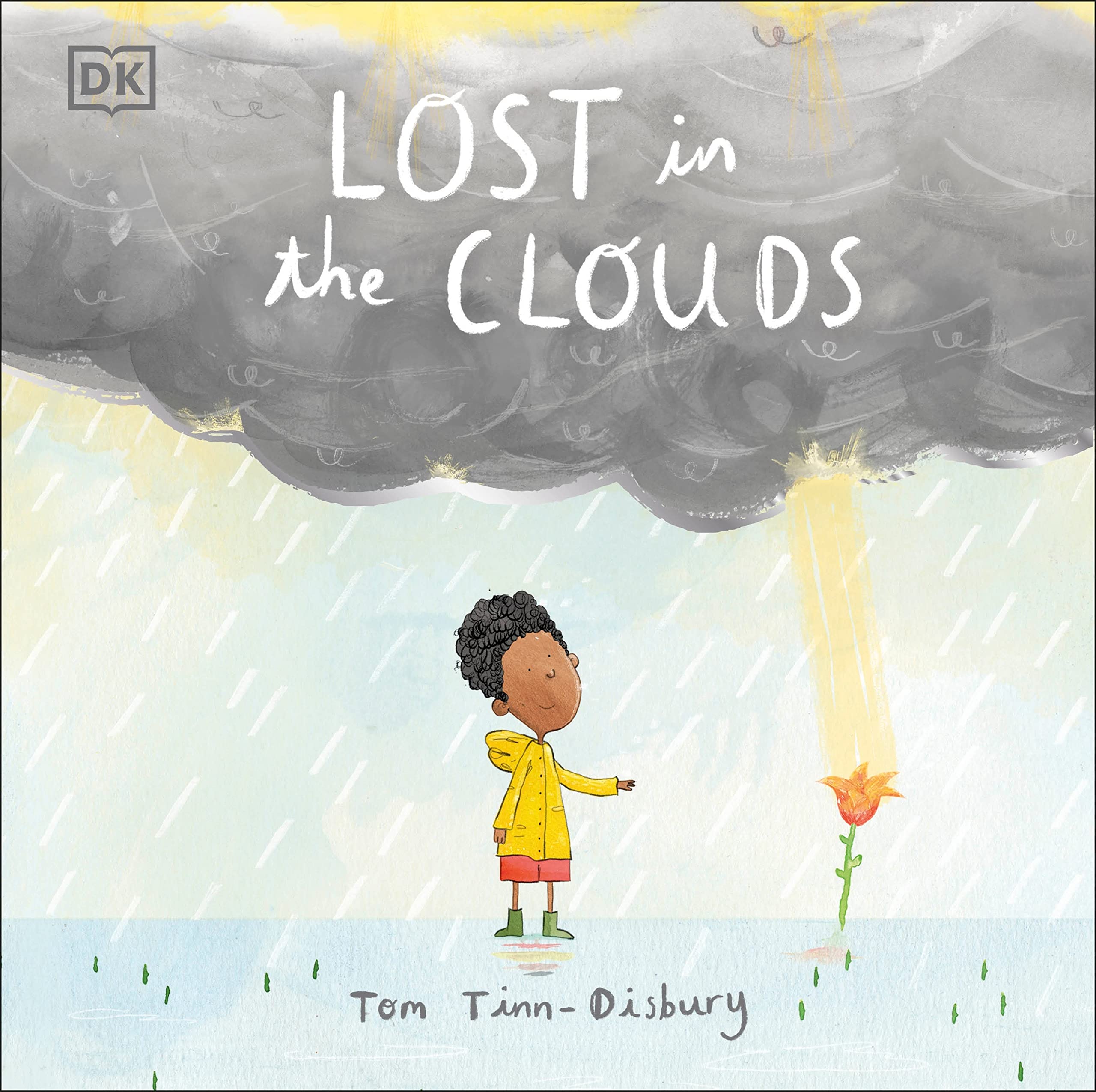 Lost in the Clouds: A gentle story to help children understand death and grief (Difficult Conversations),Used