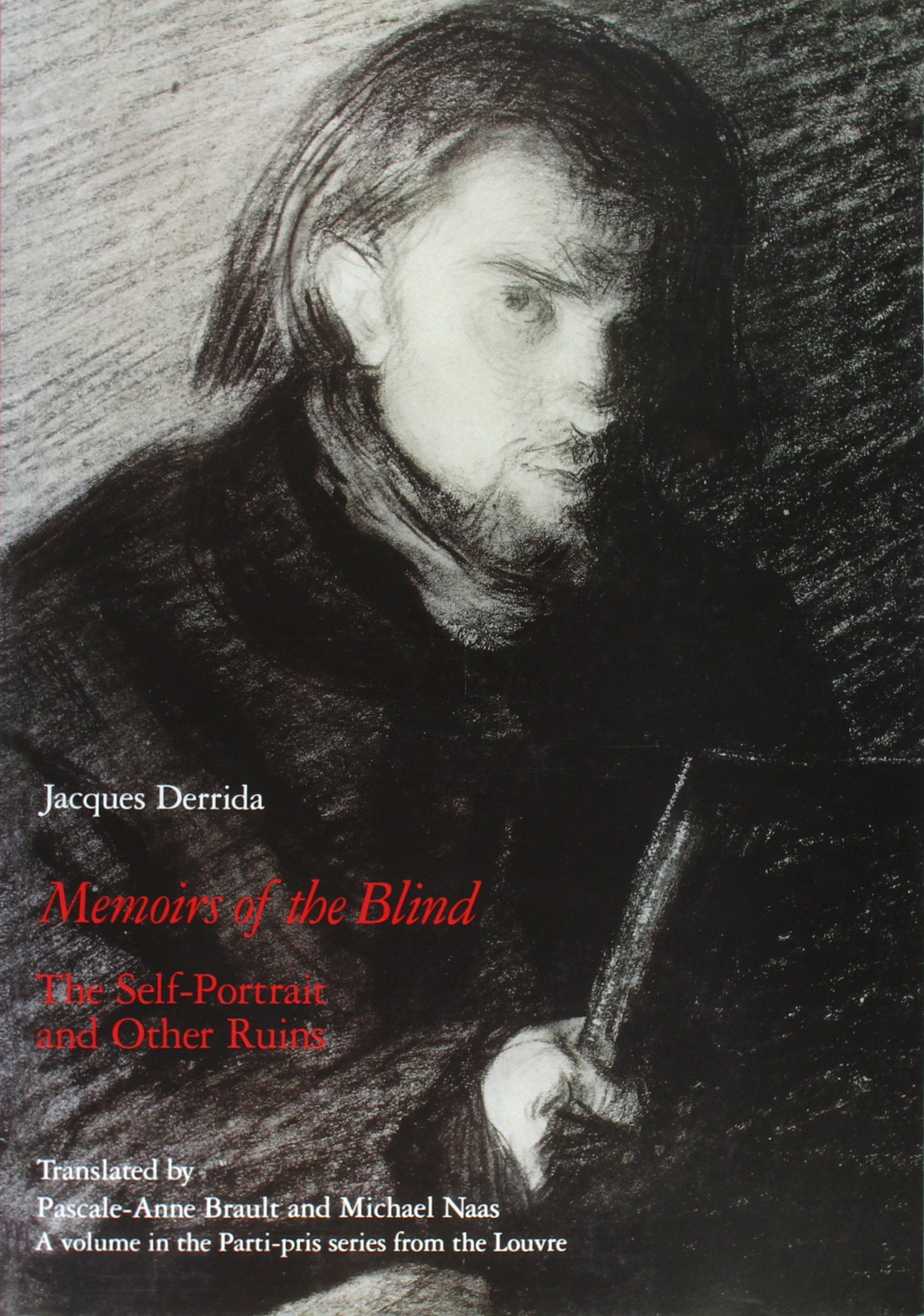 Memoirs Of The Blind: The Selfportrait And Other Ruins