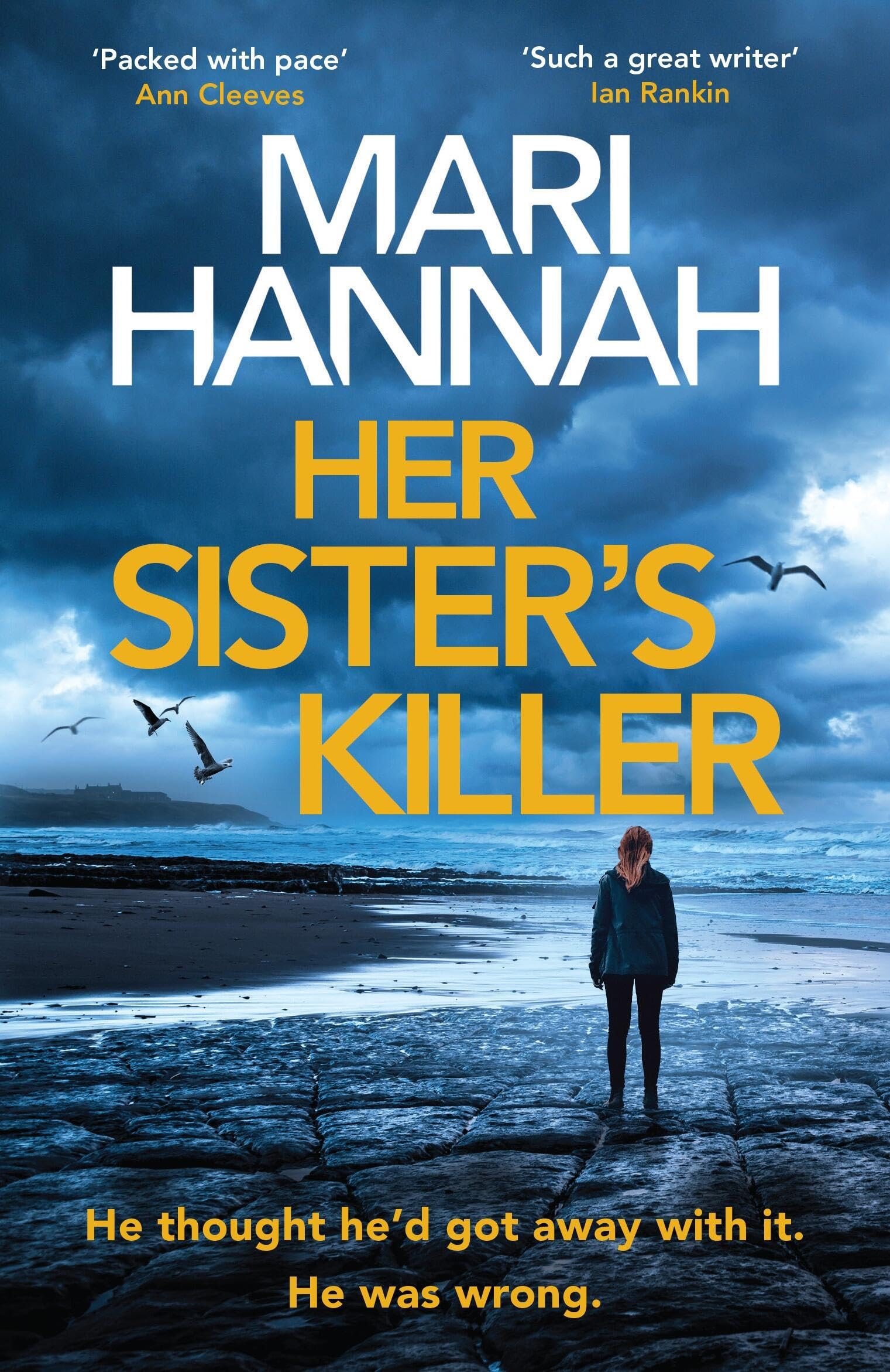 Her SisterS Killer: A BrandNew Northumbria Cid Stone And Oliver Thriller