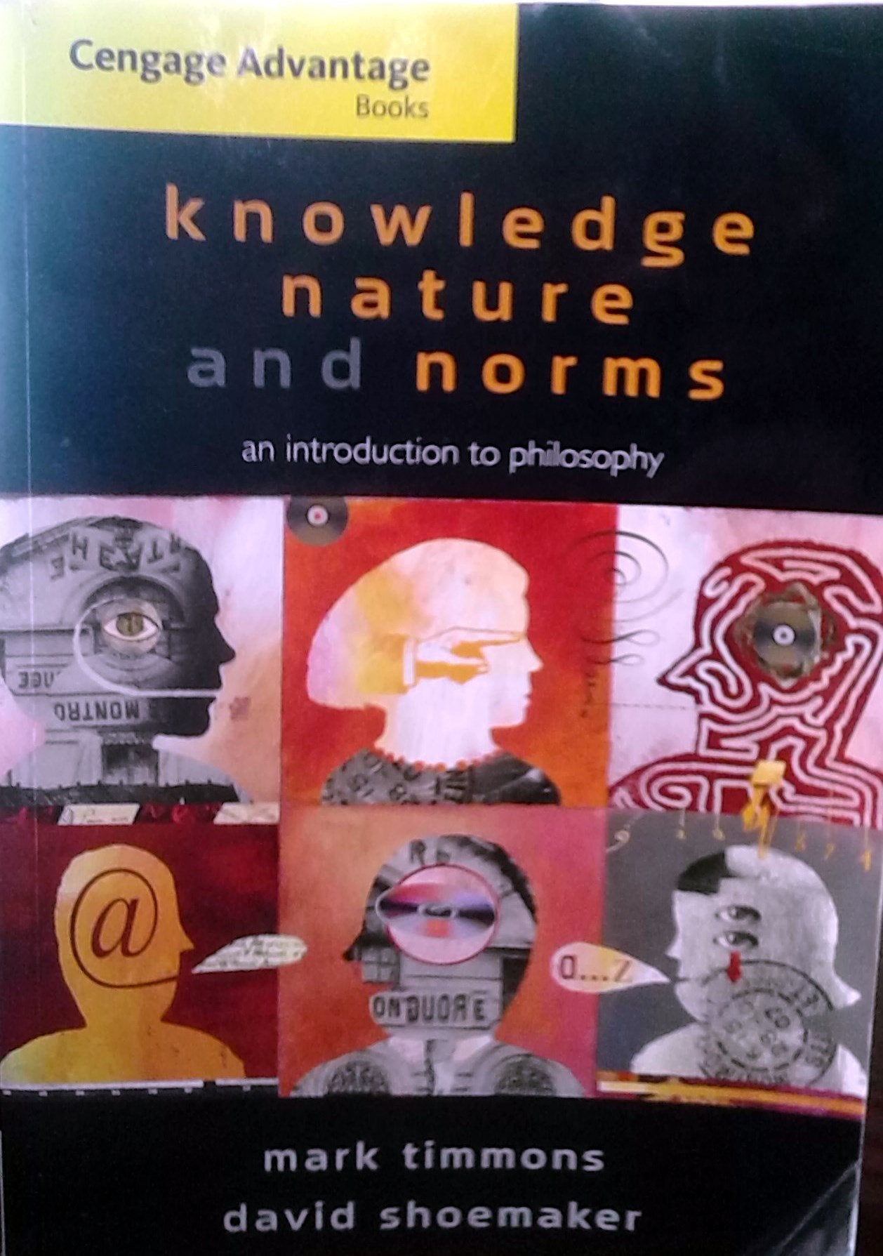 Knowledge, Nature, and Norms: An Introduction to Philosophy,Used