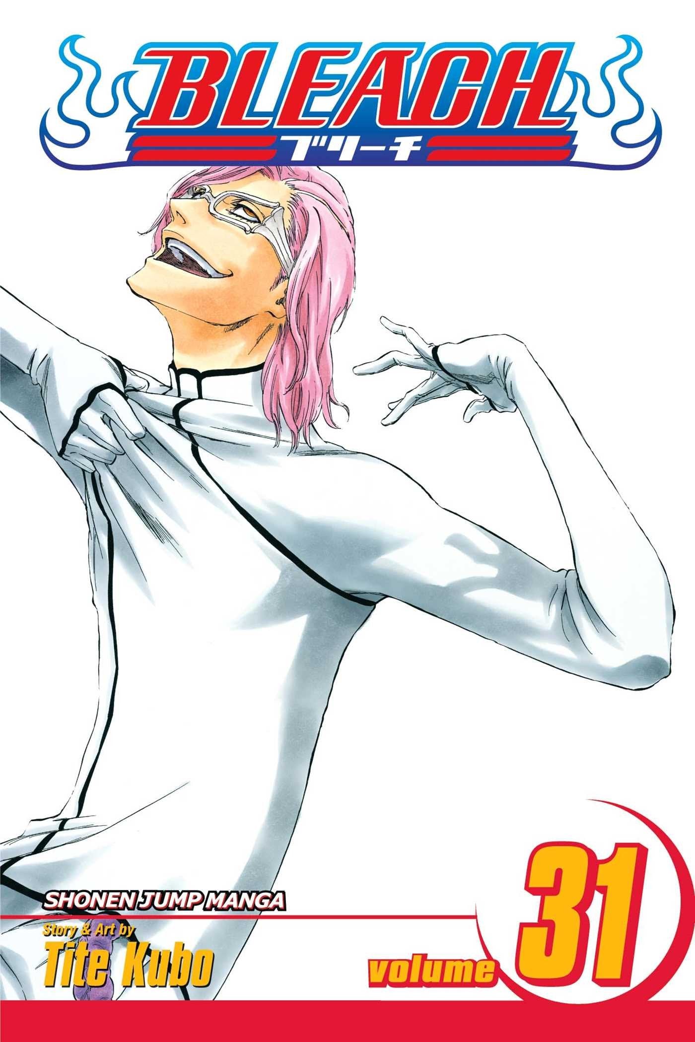 Bleach, Vol. 31,New