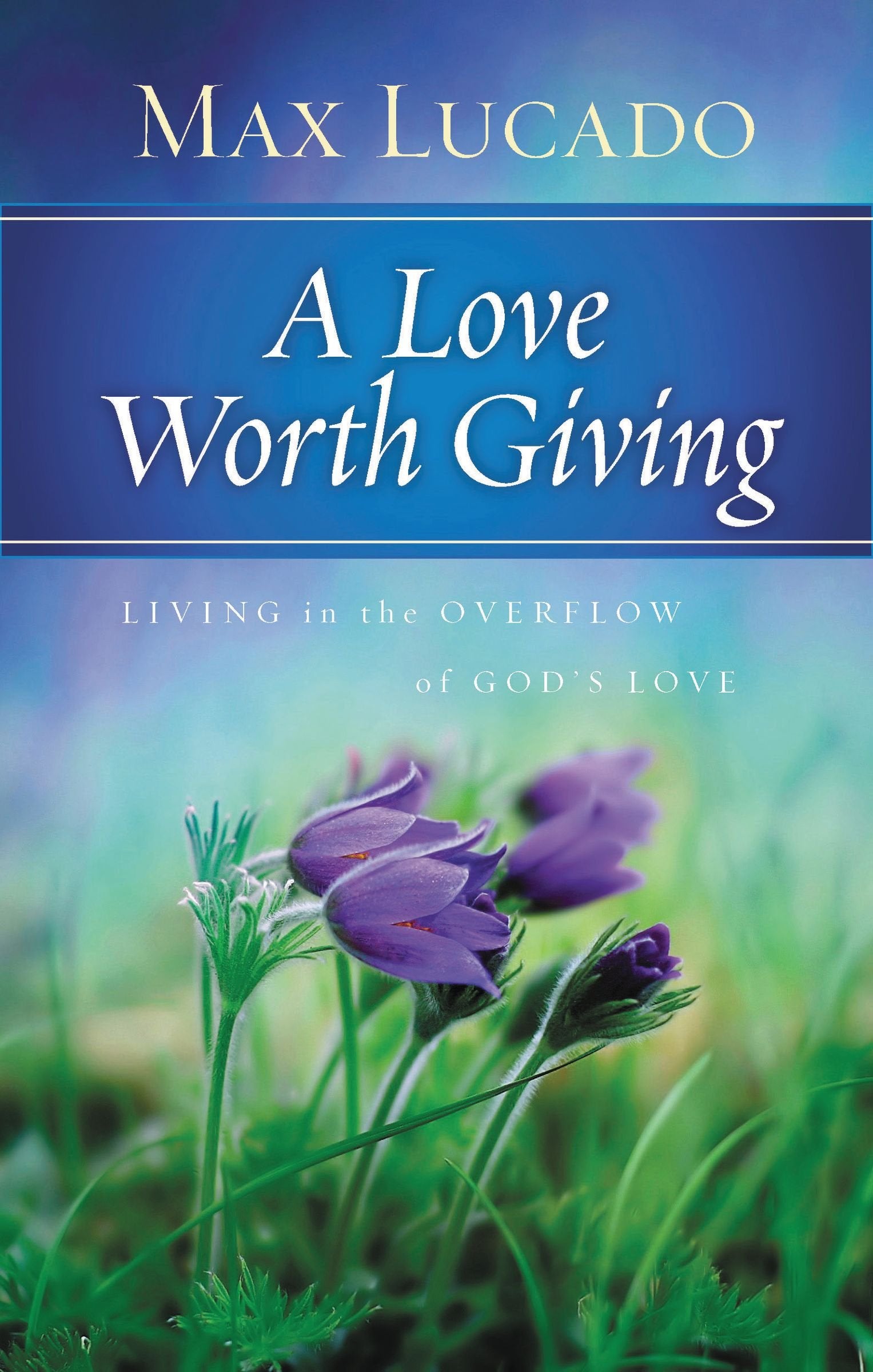 A Love Worth Giving: Living in the Overflow of God's Love,Used