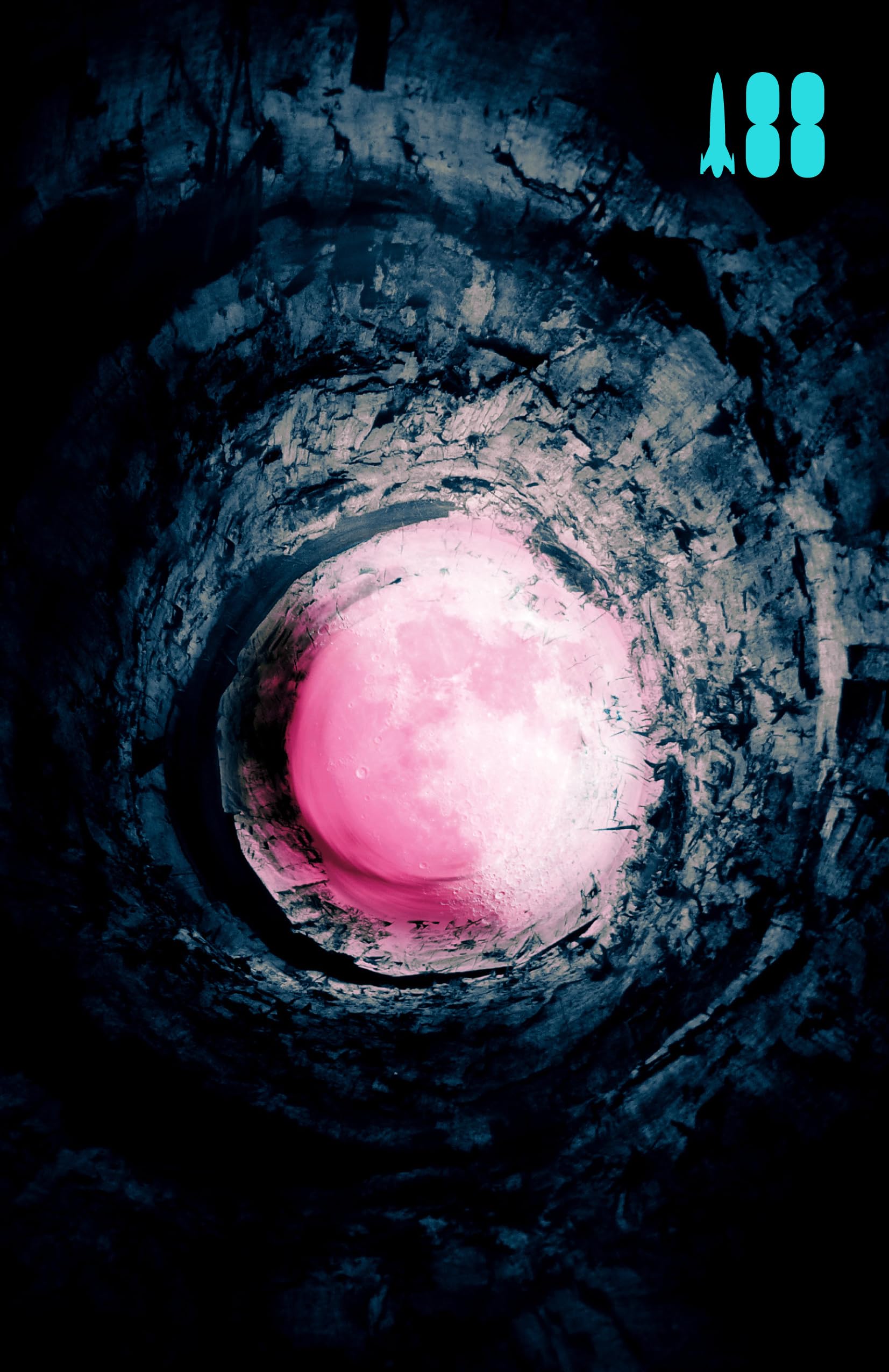 Pink Moon, A Story About Nick Drake,Used