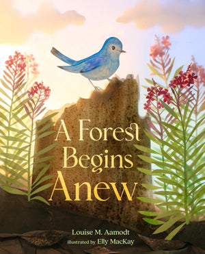 A Forest Begins Anew