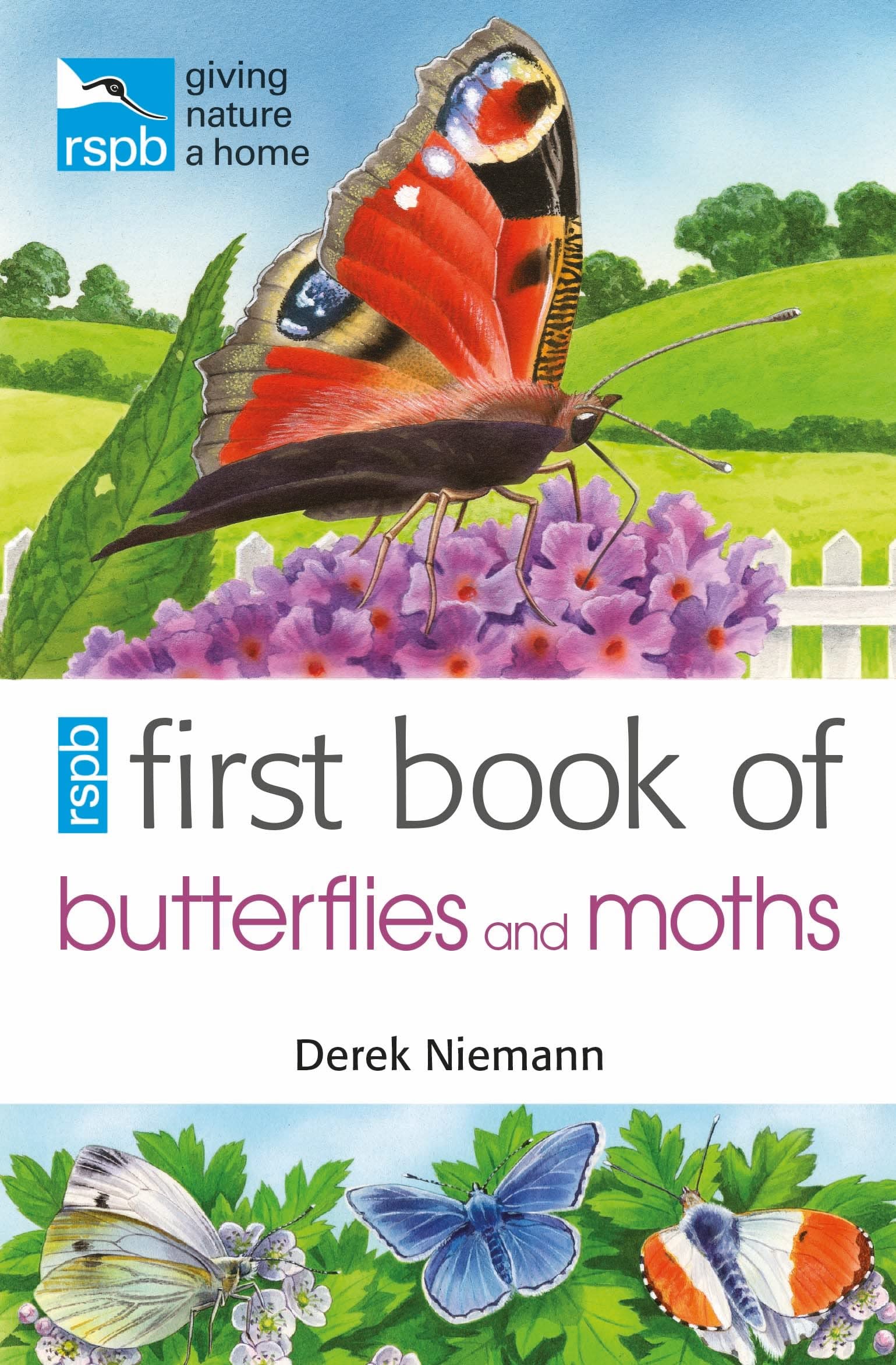 Rspb First Book of Butterflies and Moths,Used